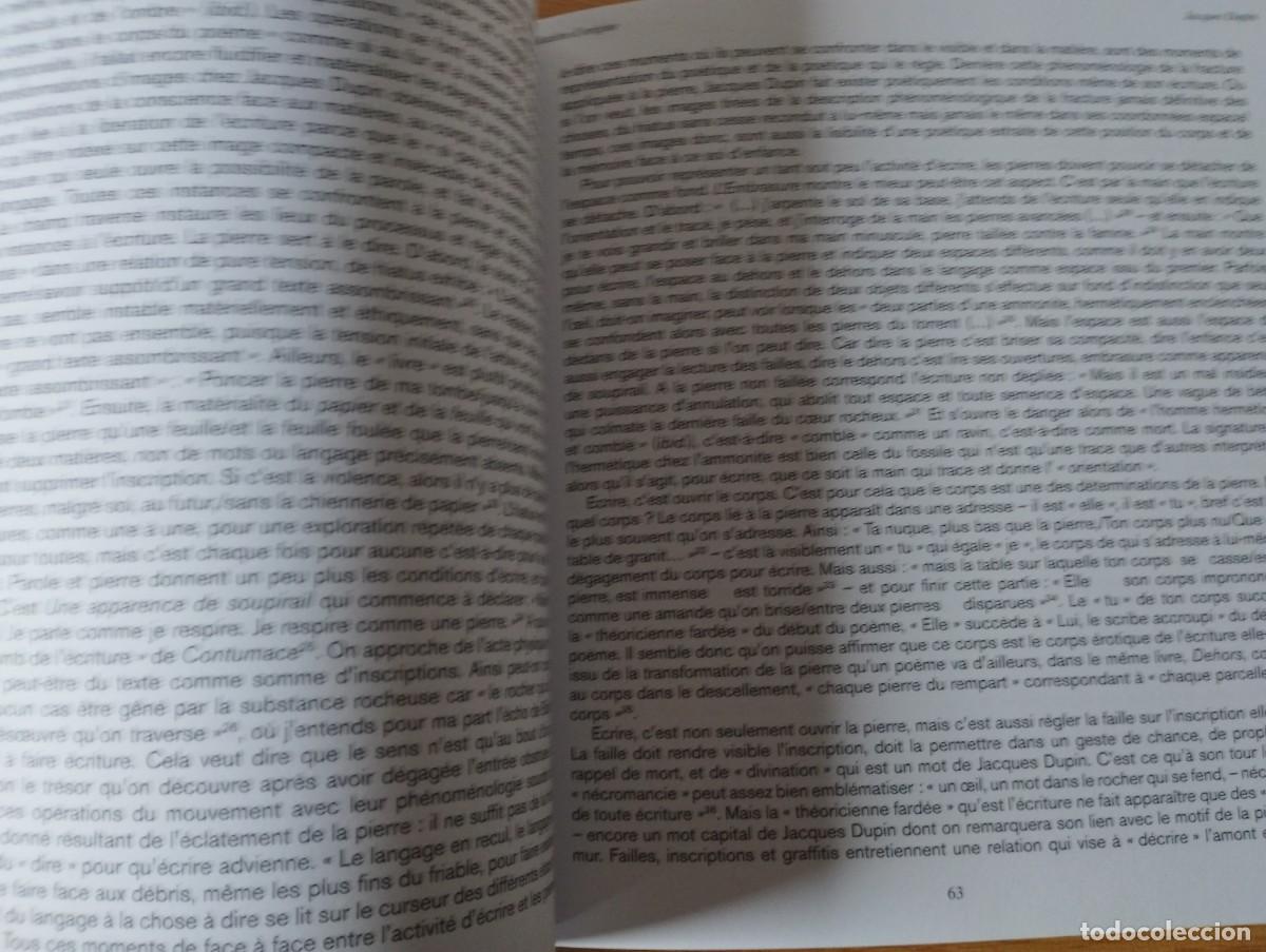 Libros de segunda mano: JACQUES DUPIN MATIERE DORIGINE 2007 ( EN FRANCES ) - Foto 6