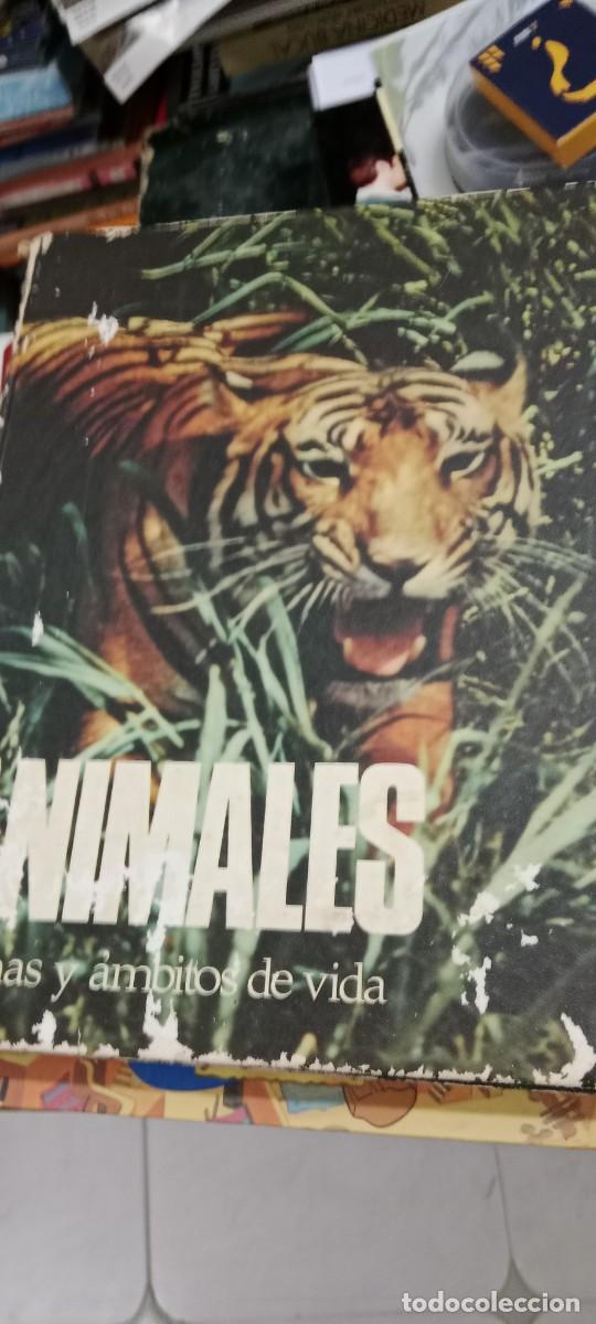 Libros de segunda mano: B-PAU LIBRO ANIMALES AMBITO DE VIDA - Foto 1