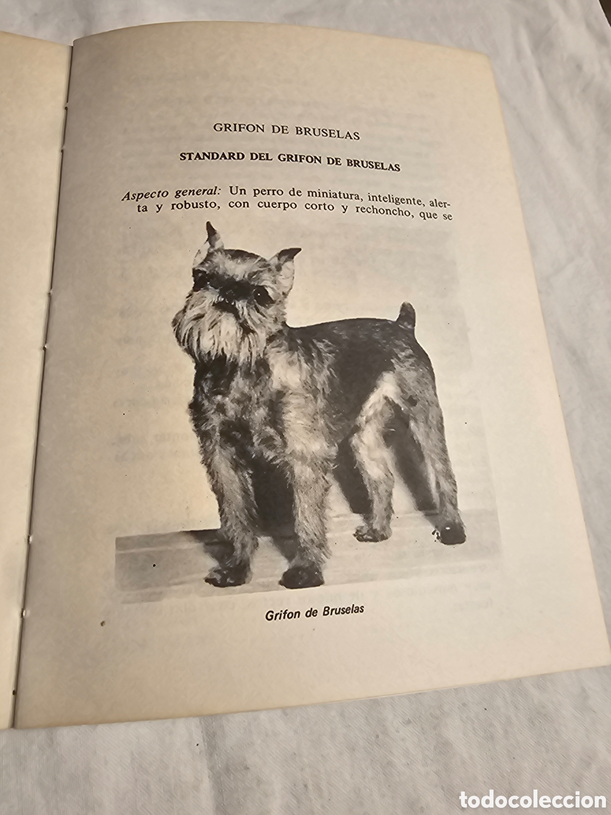 Libros de segunda mano: CUIDADO DEL PELAJE COCKER Y CANICHE - Foto 3