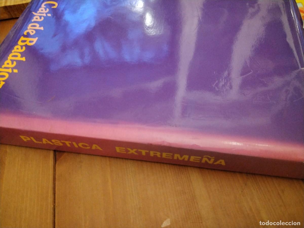 Libros de segunda mano: Pl&aacute;stica extreme&ntilde;a -gran formato - Foto 2