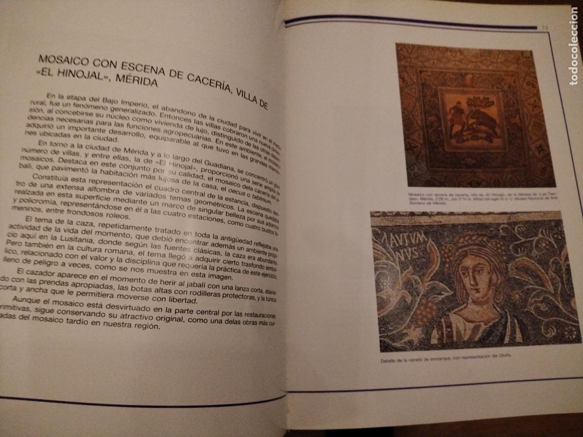 Libros de segunda mano: Pl&aacute;stica extreme&ntilde;a -gran formato - Foto 7