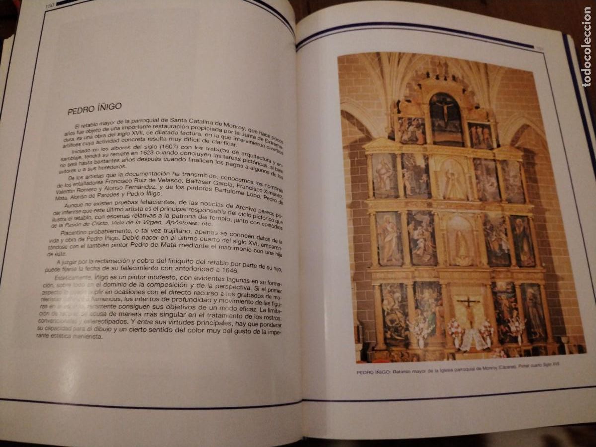 Libros de segunda mano: Pl&aacute;stica extreme&ntilde;a -gran formato - Foto 8