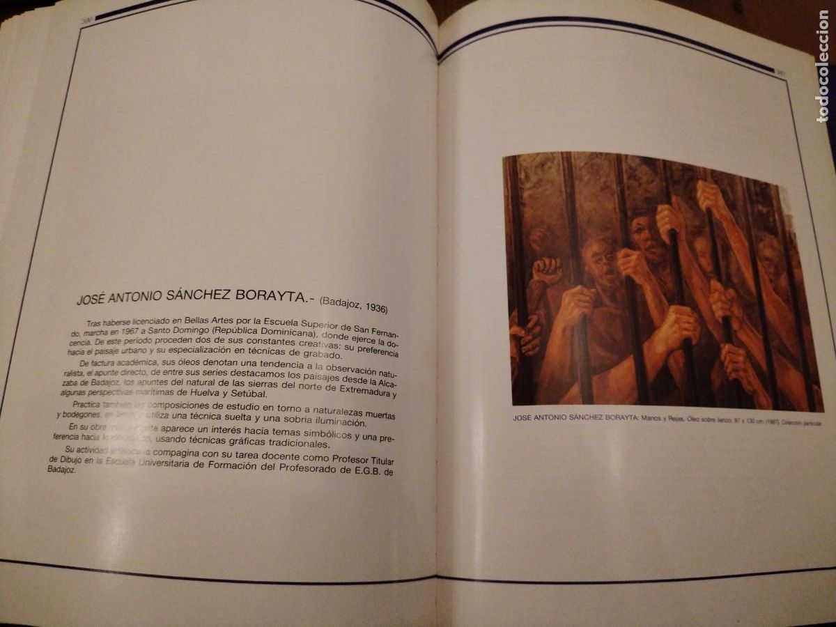 Libros de segunda mano: Pl&aacute;stica extreme&ntilde;a -gran formato - Foto 10