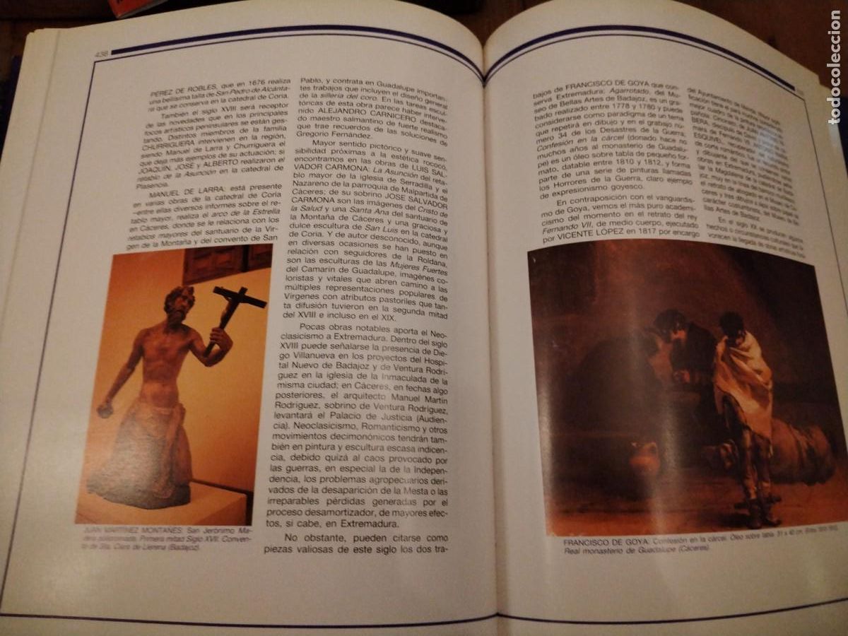 Libros de segunda mano: Pl&aacute;stica extreme&ntilde;a -gran formato - Foto 11