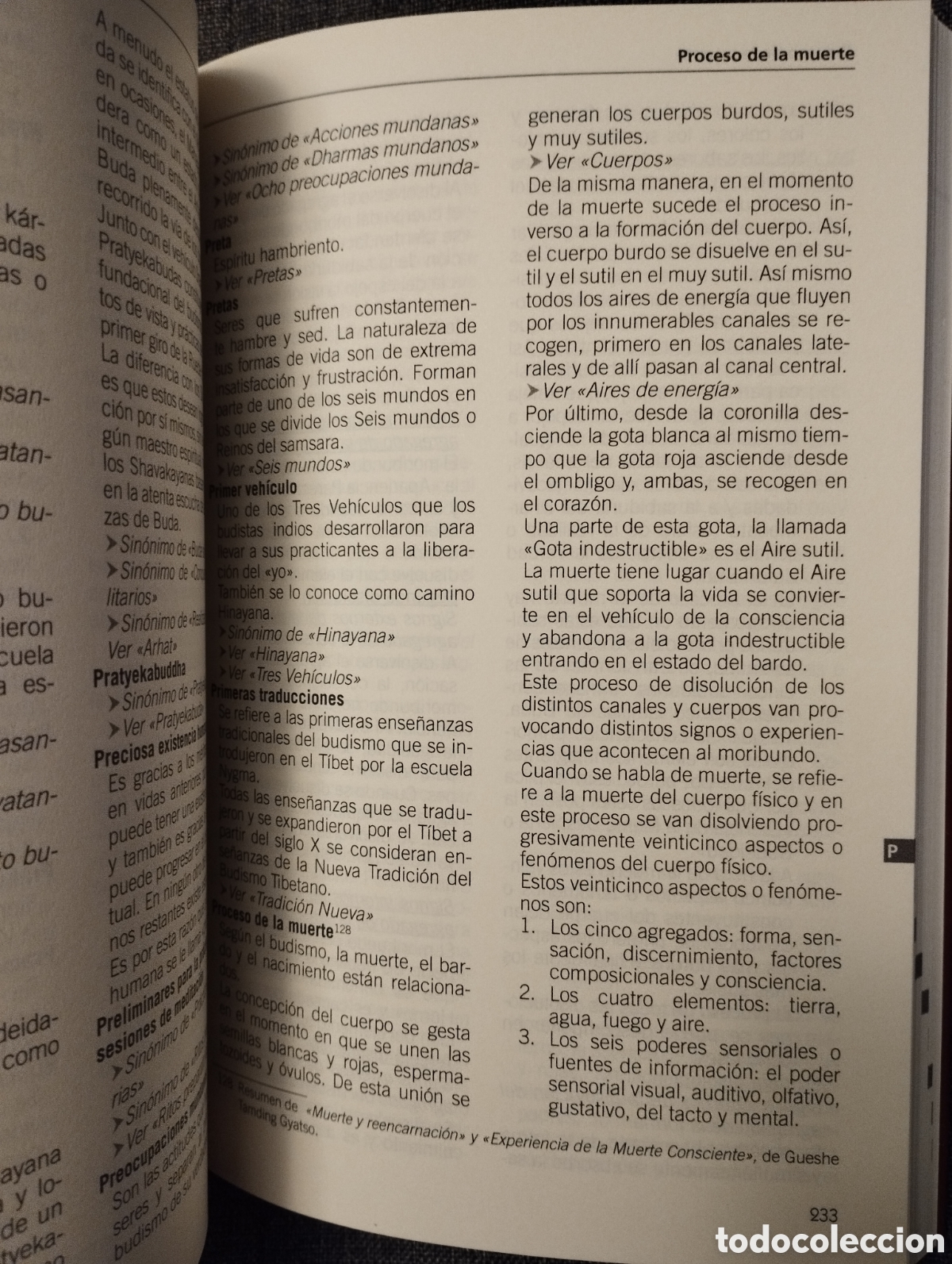 Libros de segunda mano: GLOSARIO DE TERMINOS BUDISTAS (JAUME TORNIL) - Foto 6