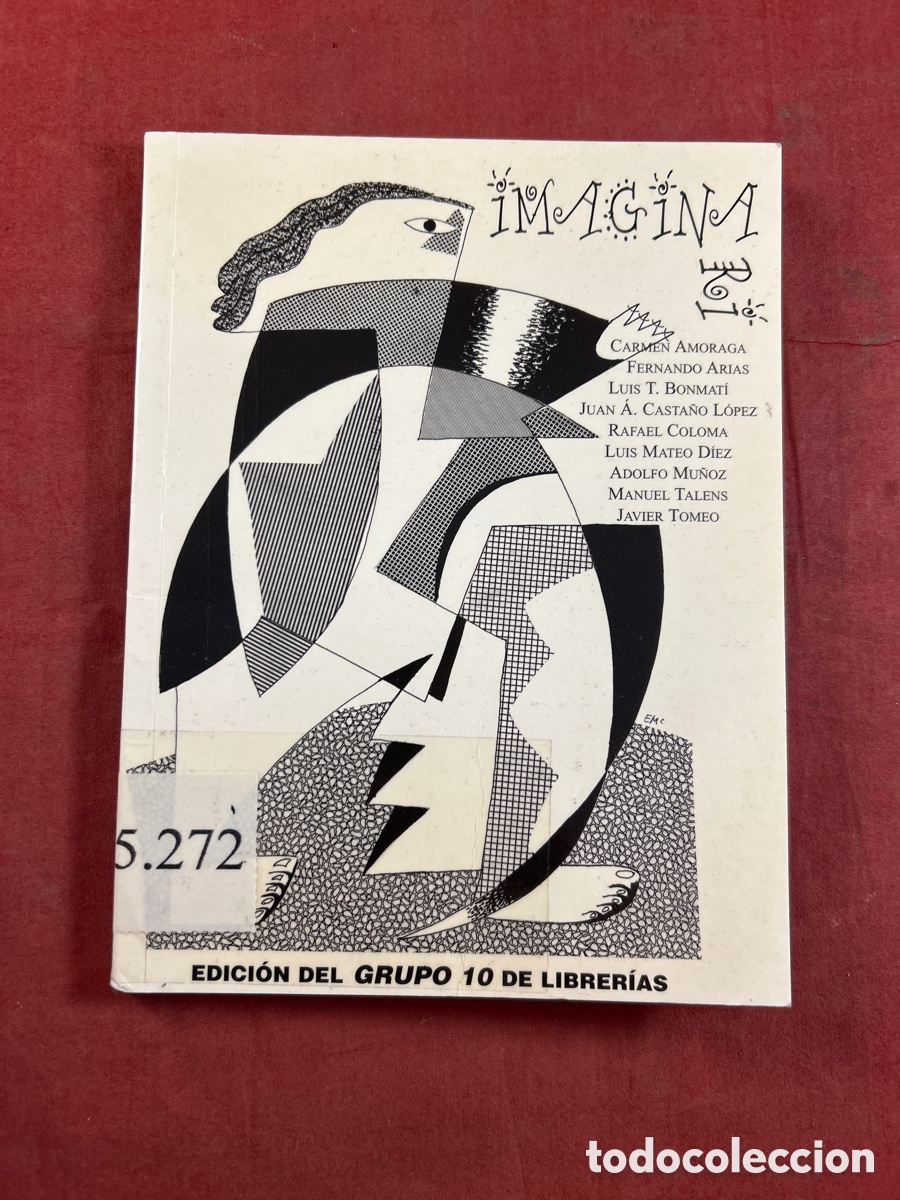 Libros de segunda mano: LIBRO IMAGINARI EDICI&Oacute;N GRUPO 10 - Foto 1