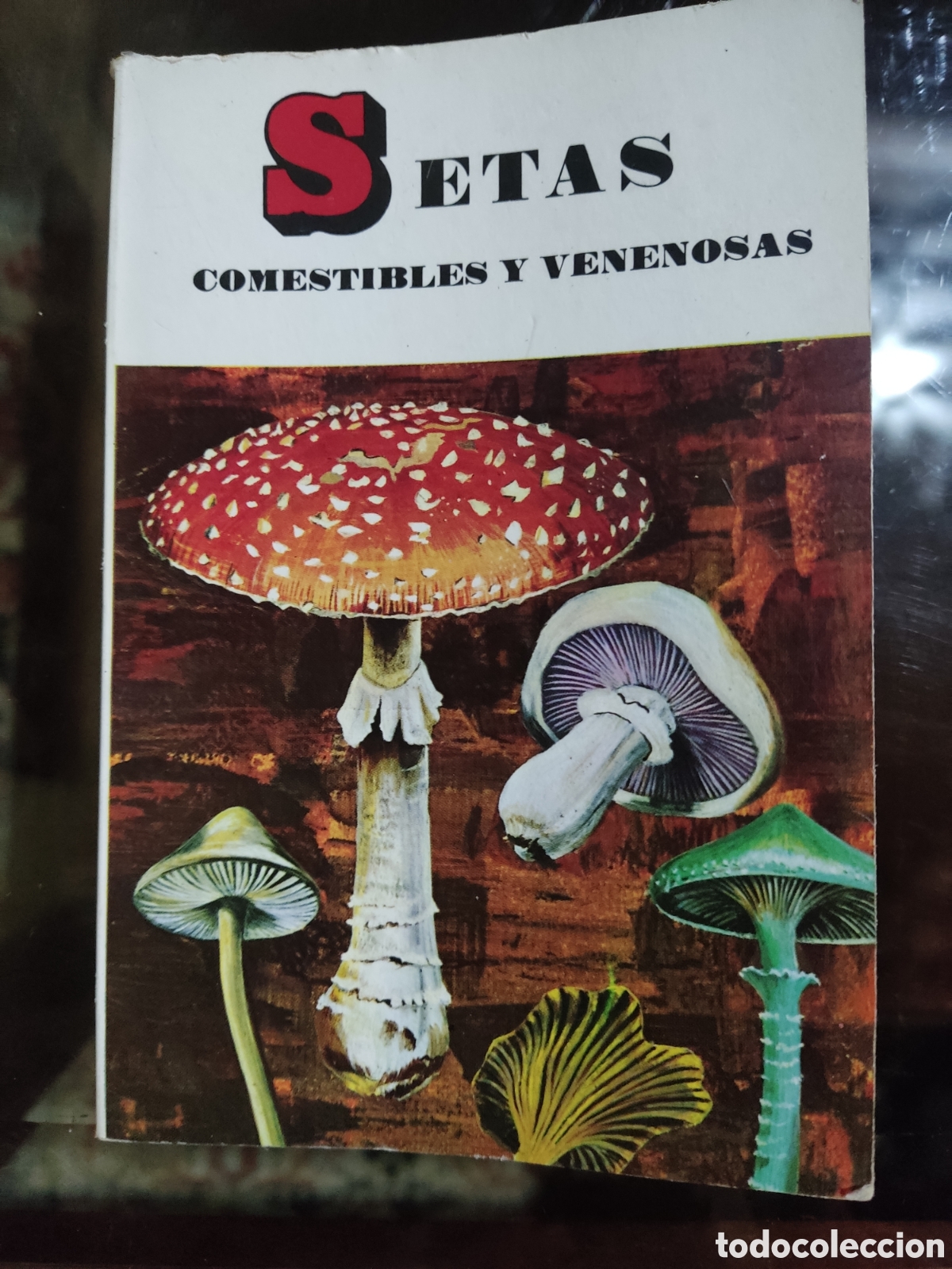Libros de segunda mano: Setas comestibles y venenosas - Foto 1