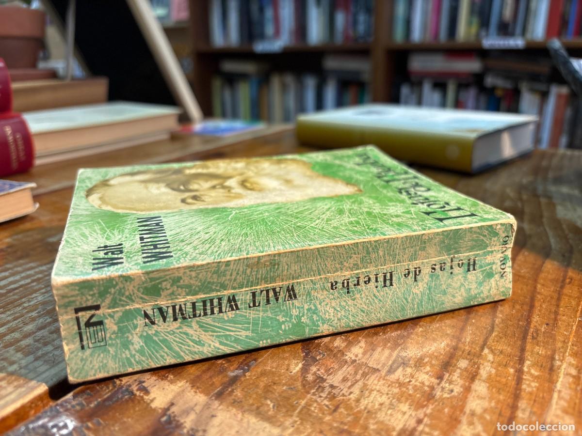 Libros de segunda mano: Hojas de Hierba - Walt Whitman - Foto 2