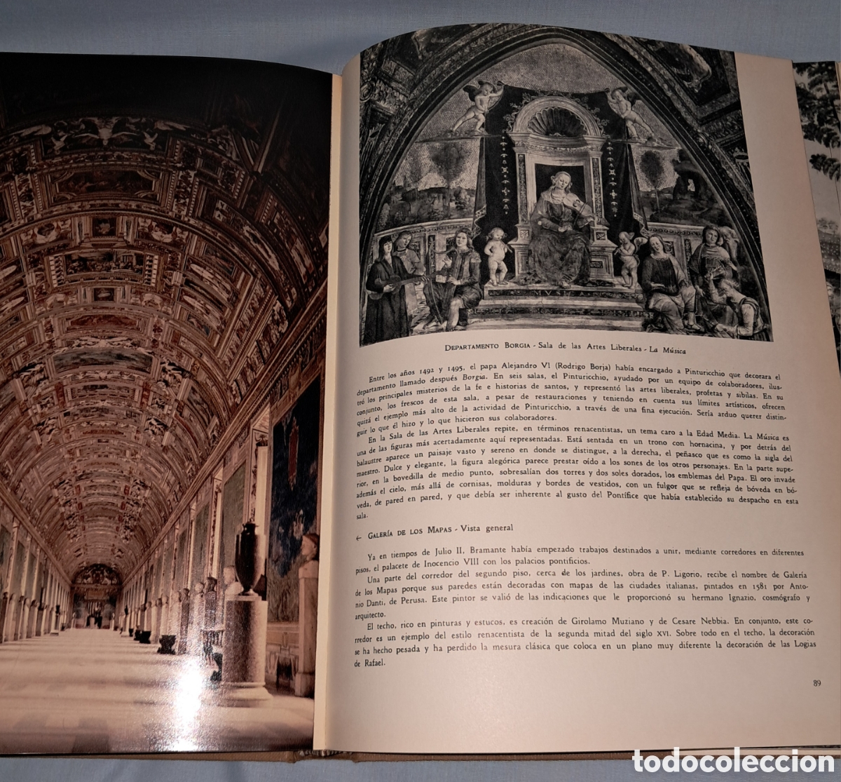Libros de segunda mano: MUSEOS DEL VATICANO, MUSEOS Y MONUMENTOS, SALVAT - Foto 6