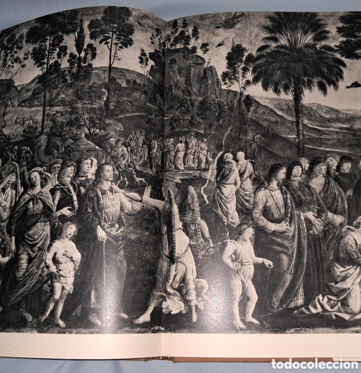 Libros de segunda mano: MUSEOS DEL VATICANO, MUSEOS Y MONUMENTOS, SALVAT - Foto 7