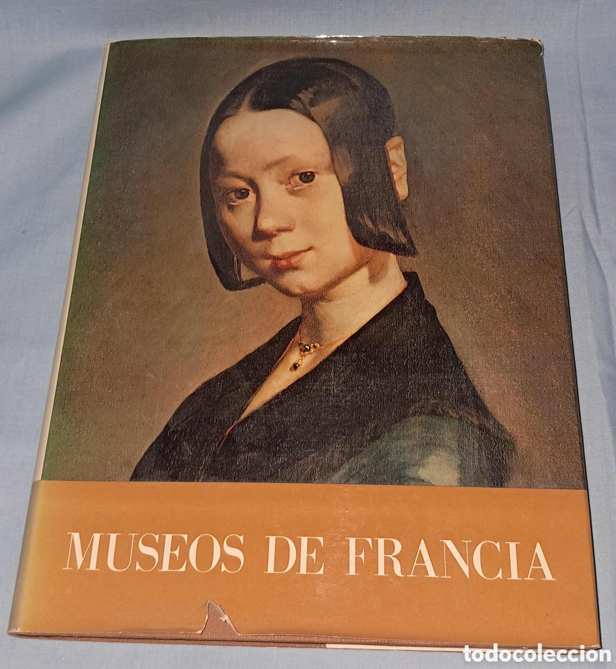 Libros de segunda mano: MUSEOS DE FRANCIA, MUSEOS Y MONUMENTOS, SALVAT - Foto 1