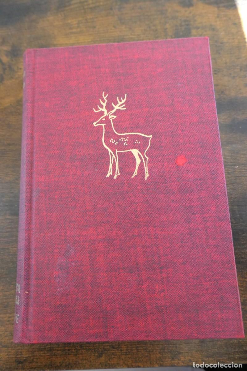 Libros de segunda mano: PRACTICA DE LA MONTERIA - ANTONIO DE LA TORRE - 1970 - Foto 2