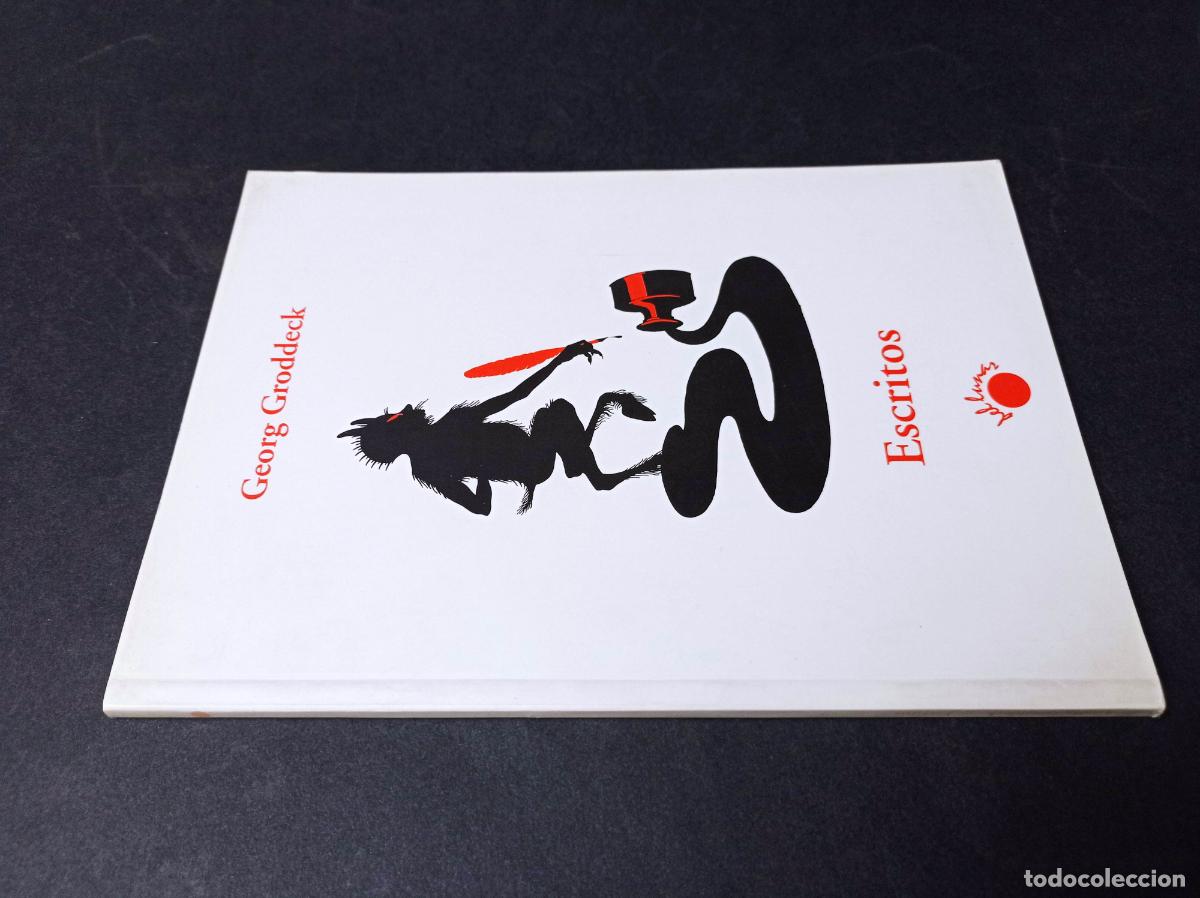 Libros de segunda mano: 1998 - GEORG GRODDECK. Escritos - Foto 1