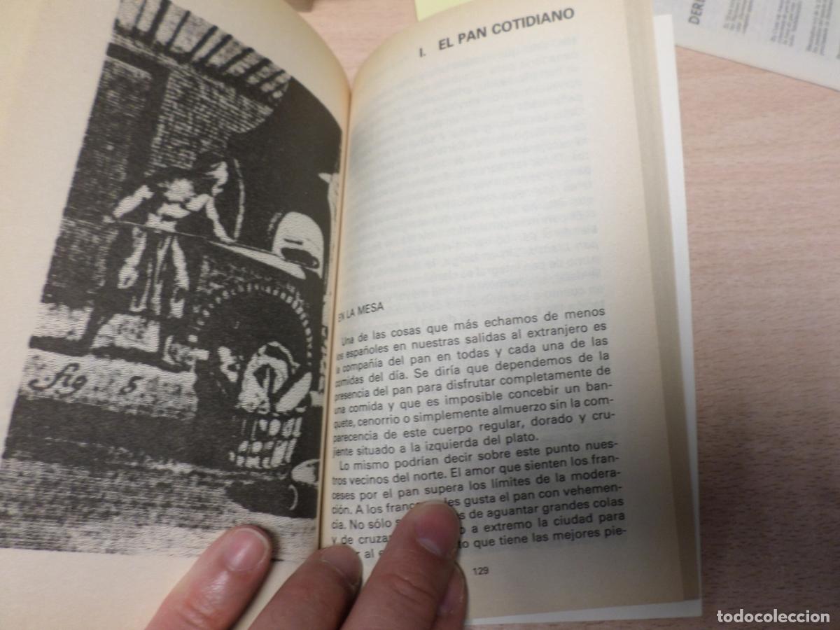 Libros de segunda mano: EL LIBRO DEL PAN - Inmaculada Tejera Osuna - Foto 4