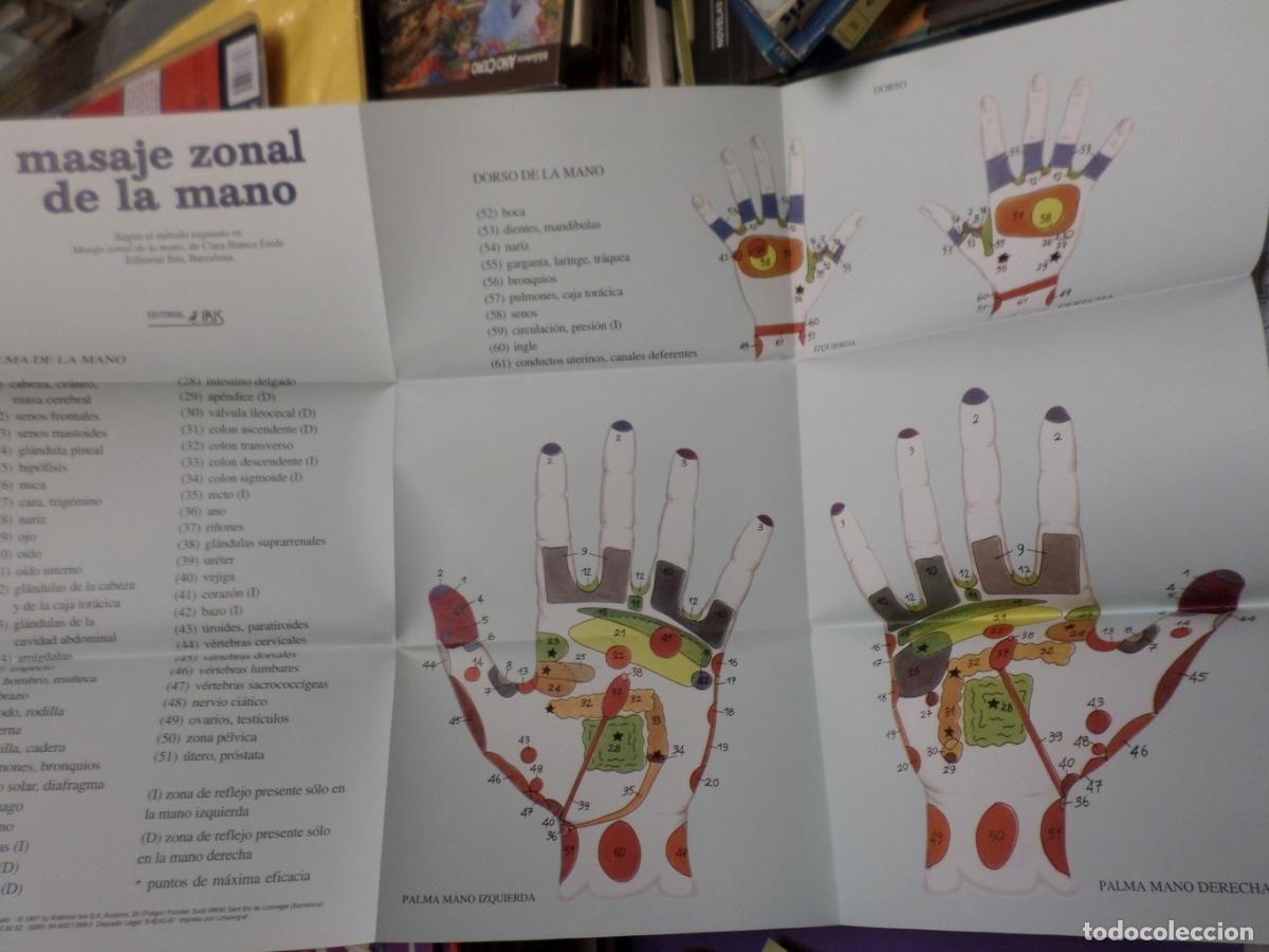 Libros de segunda mano: POSTER PARA EL MASAJE ZONAL DE LA MANO - IBIS 1997 - Vv.aa. - Foto 4