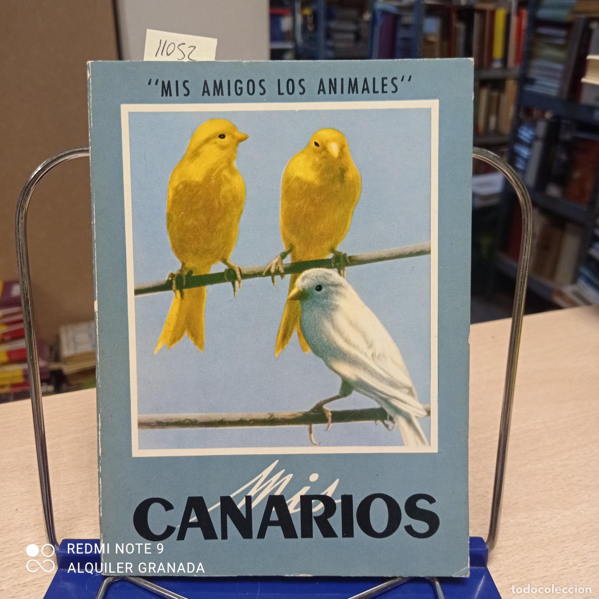 Libros de segunda mano: MIS CANARIOS - Vv.aa. - Foto 1