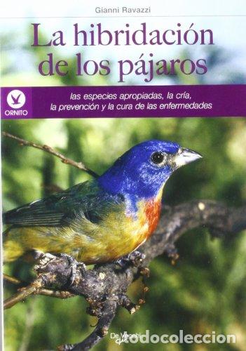 Libros de segunda mano: La Hibridaci&oacute;n de los P&aacute;jaros - Gianni Ravazzi - Foto 1