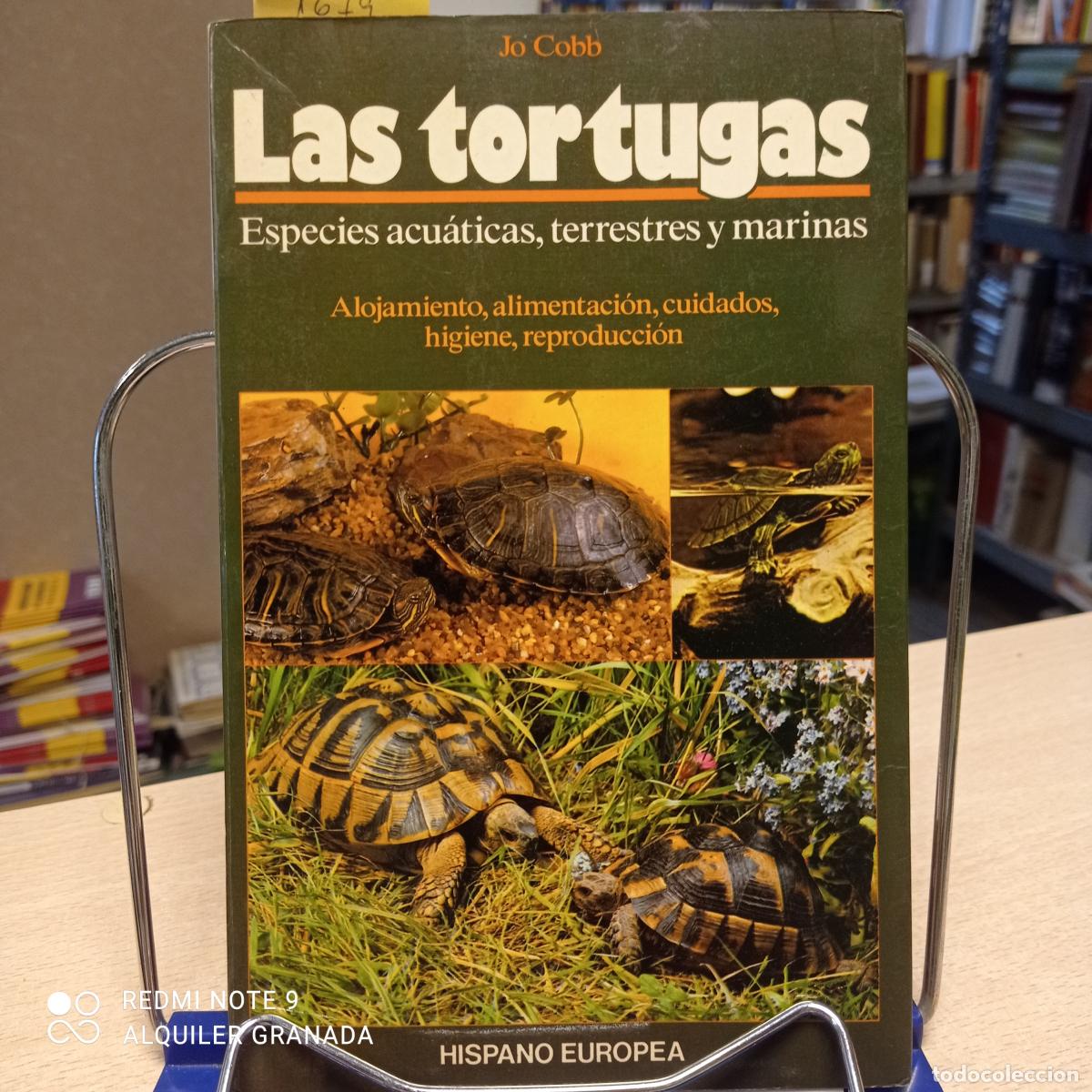 Libros de segunda mano: LAS TORTUGAS - Jo Cobb - Foto 1