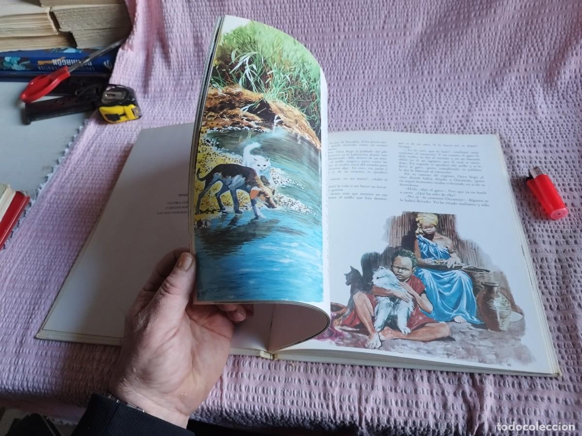 Libros de segunda mano: CUATRO CUENTOS DEL AFRICA NEGRA / / EVA 248 - Foto 9