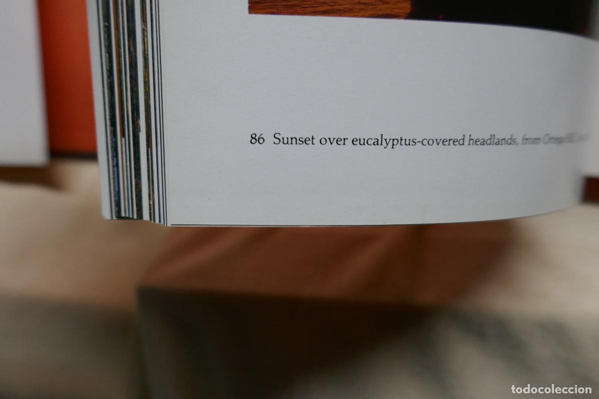 Libros de segunda mano: SANTA BARBARA - DAVID MUENCH - Foto 15