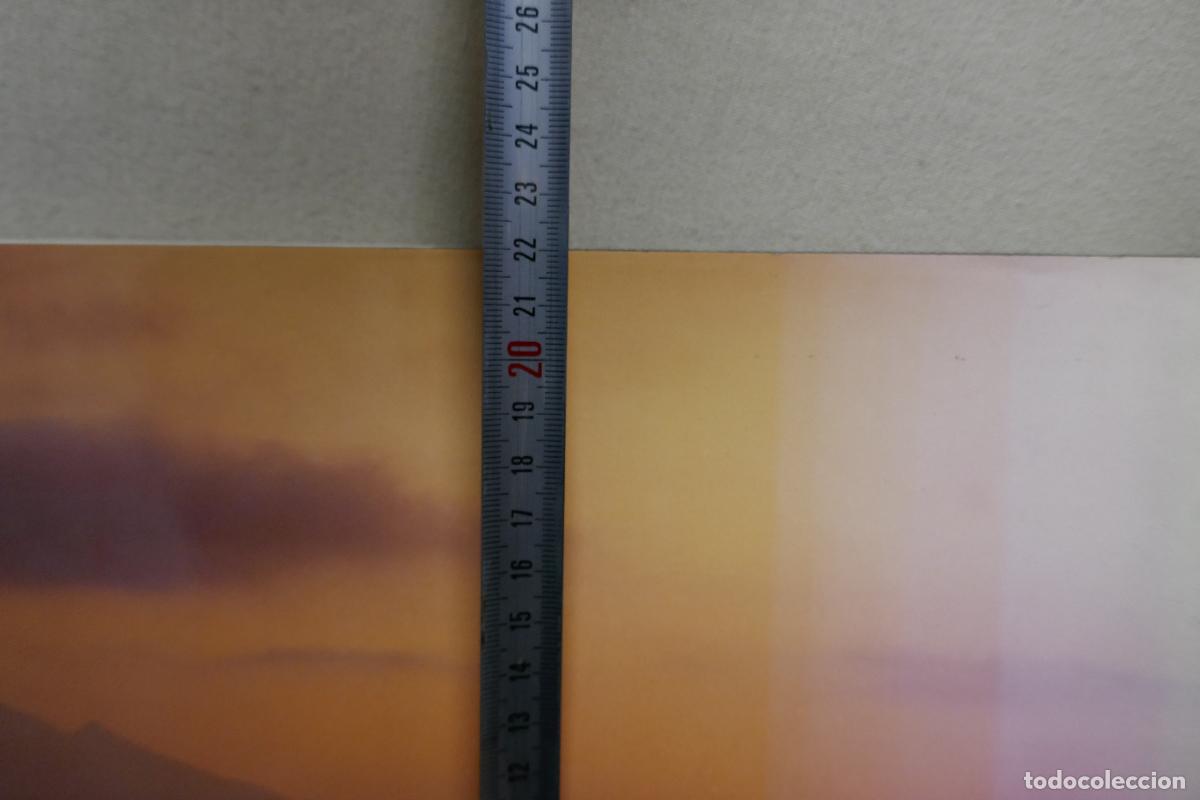 Libros de segunda mano: SANTA BARBARA - DAVID MUENCH - Foto 16