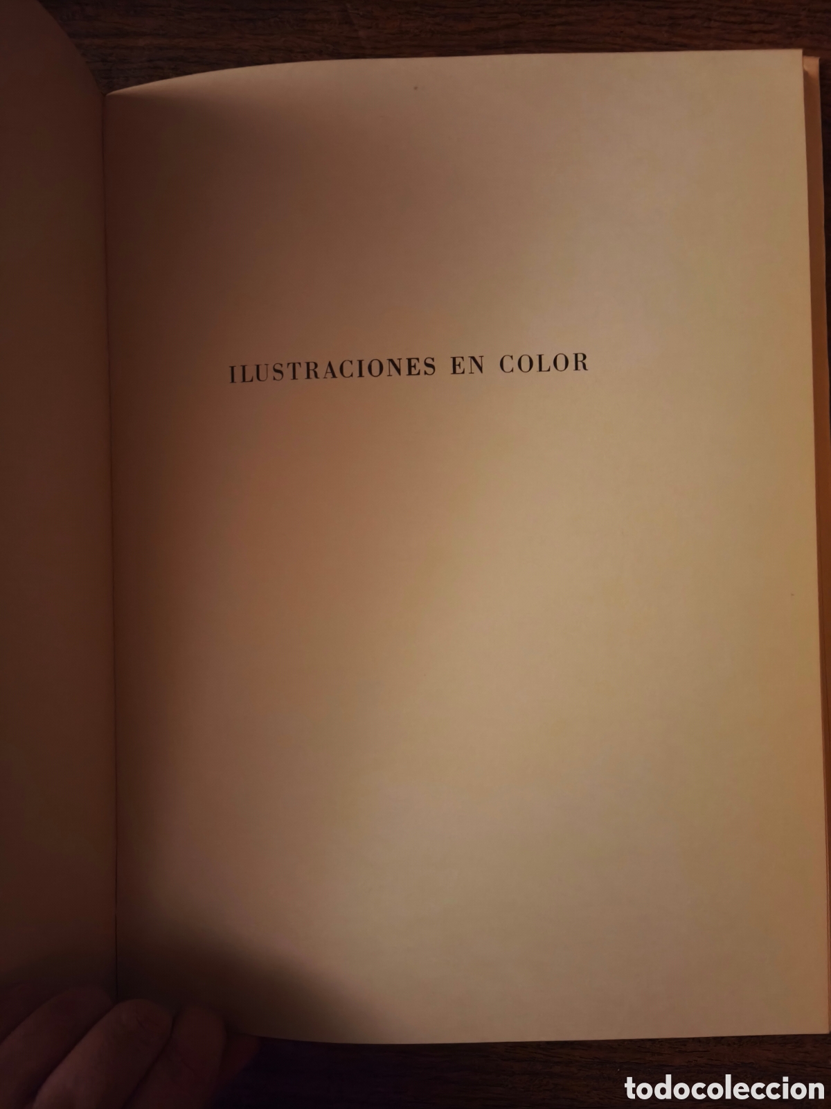 Libros de segunda mano: Libro Miguel Angel Editorial Labor 1974 - Foto 5