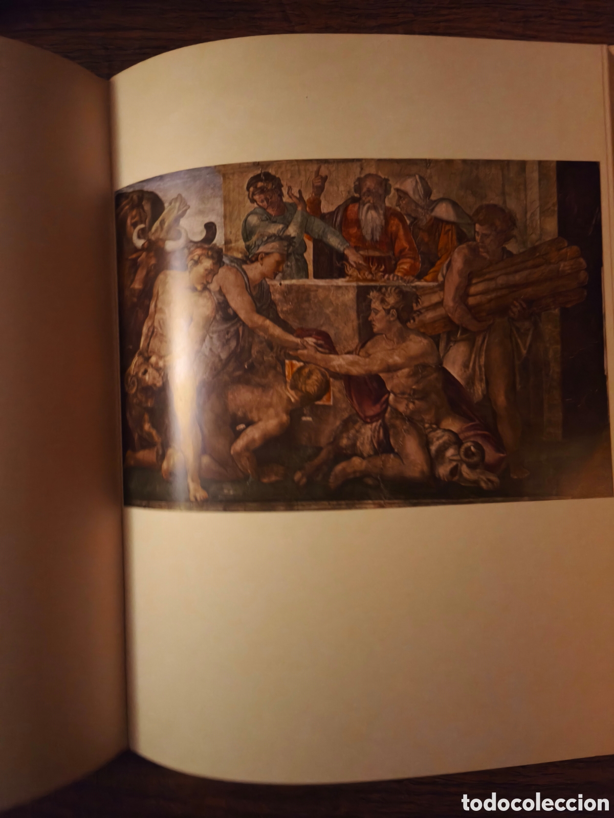 Libros de segunda mano: Libro Miguel Angel Editorial Labor 1974 - Foto 11