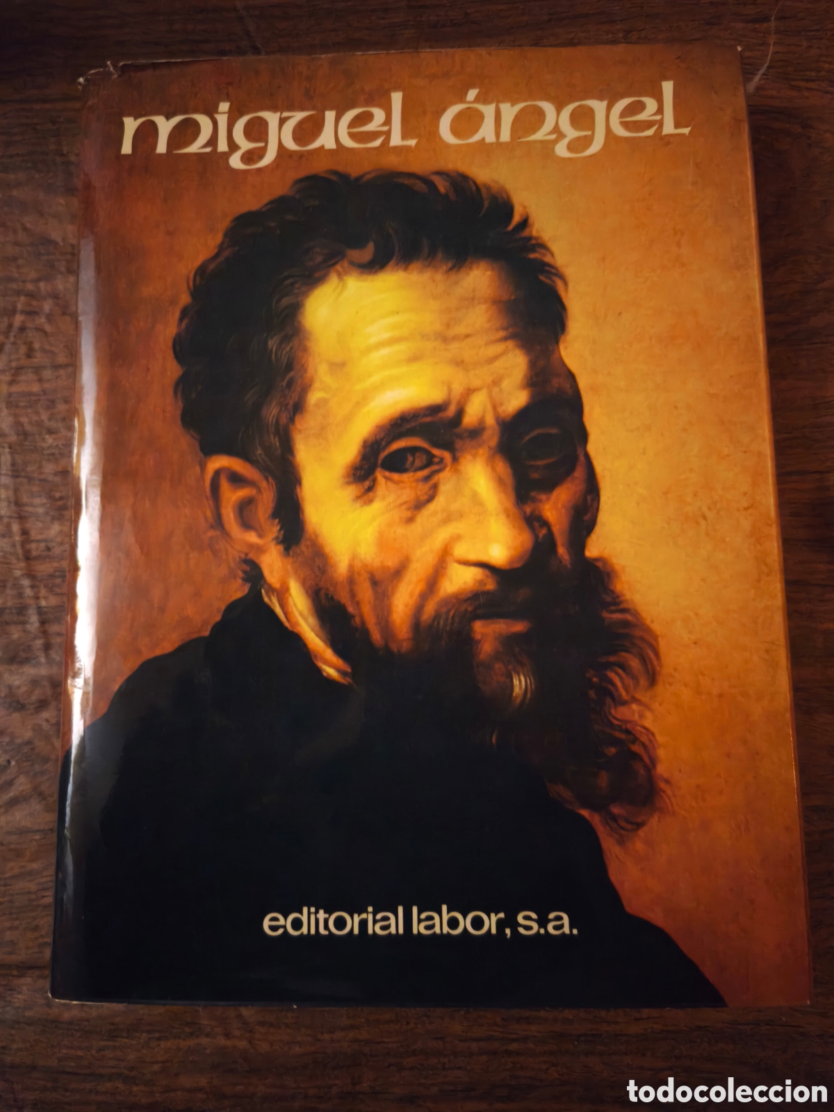 Libros de segunda mano: Libro Miguel Angel Editorial Labor 1974 - Foto 1