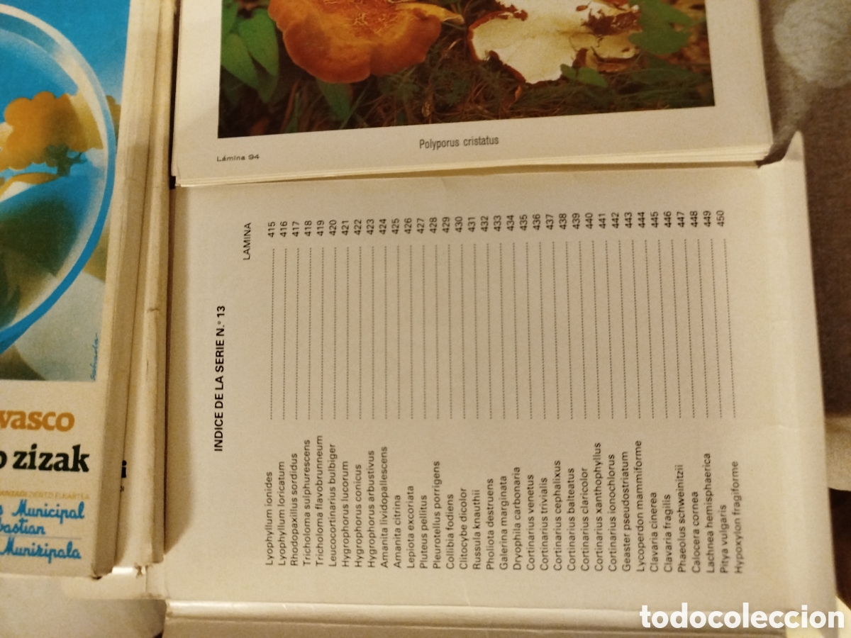 Libros de segunda mano: Setas del pa&iacute;s Vasco 15 series con l&aacute;minas - Foto 5