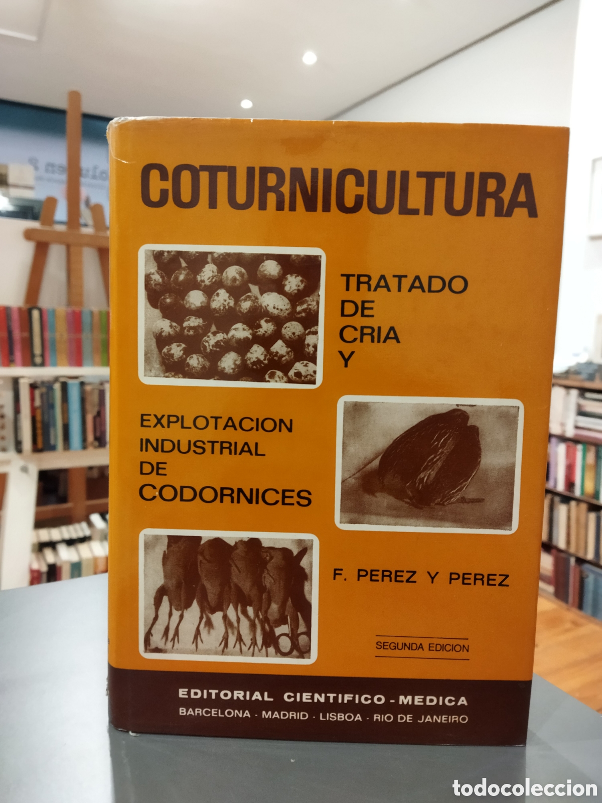 Libros de segunda mano: Coturnicultura. Tratado de cria y explotaci&oacute;n industrial de codornices