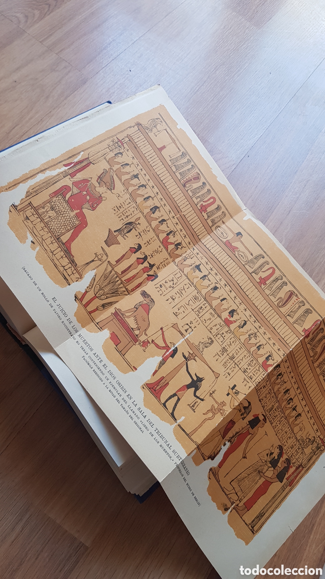 Libros de segunda mano: Prehistoria e historia del antiguo Egipto - Foto 8