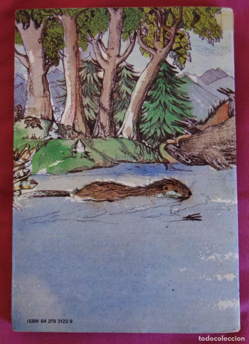 Libros de segunda mano: El r&iacute;o de los castores - Foto 2