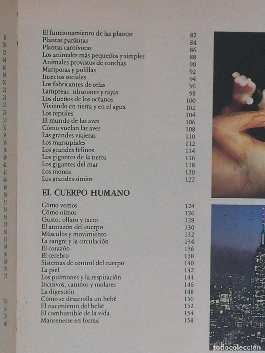 Libros de segunda mano: El mundo de la ciencia. Ediciones Nauta. - Foto 4