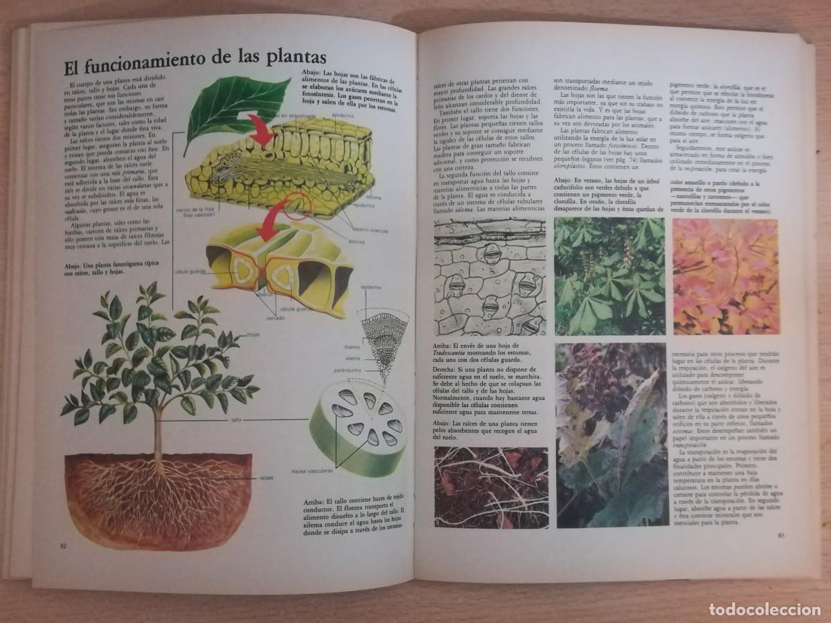 Libros de segunda mano: El mundo de la ciencia. Ediciones Nauta. - Foto 7