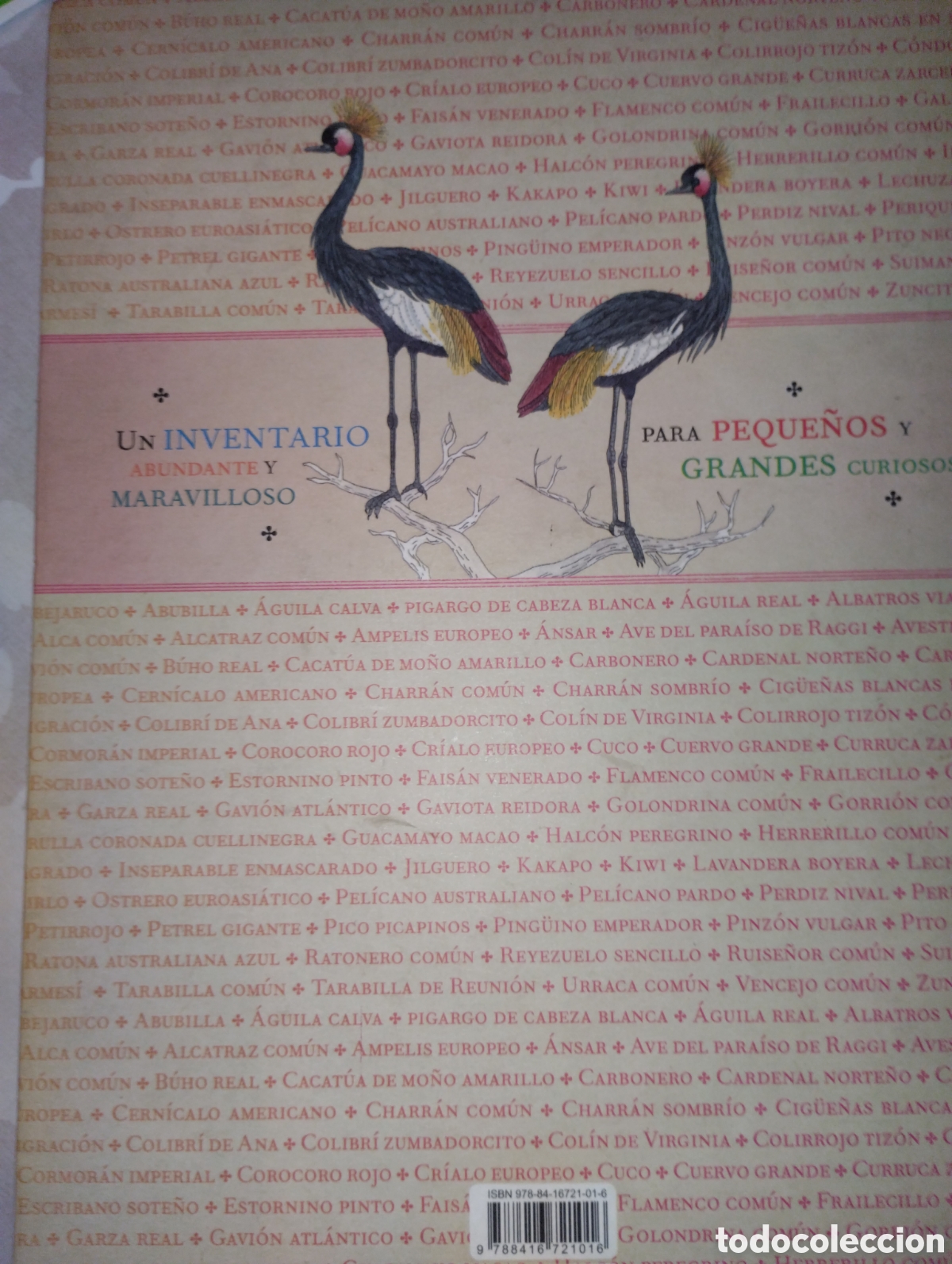 Libros de segunda mano: INVENTARIO DE AVES ILUSTRADO - Foto 2