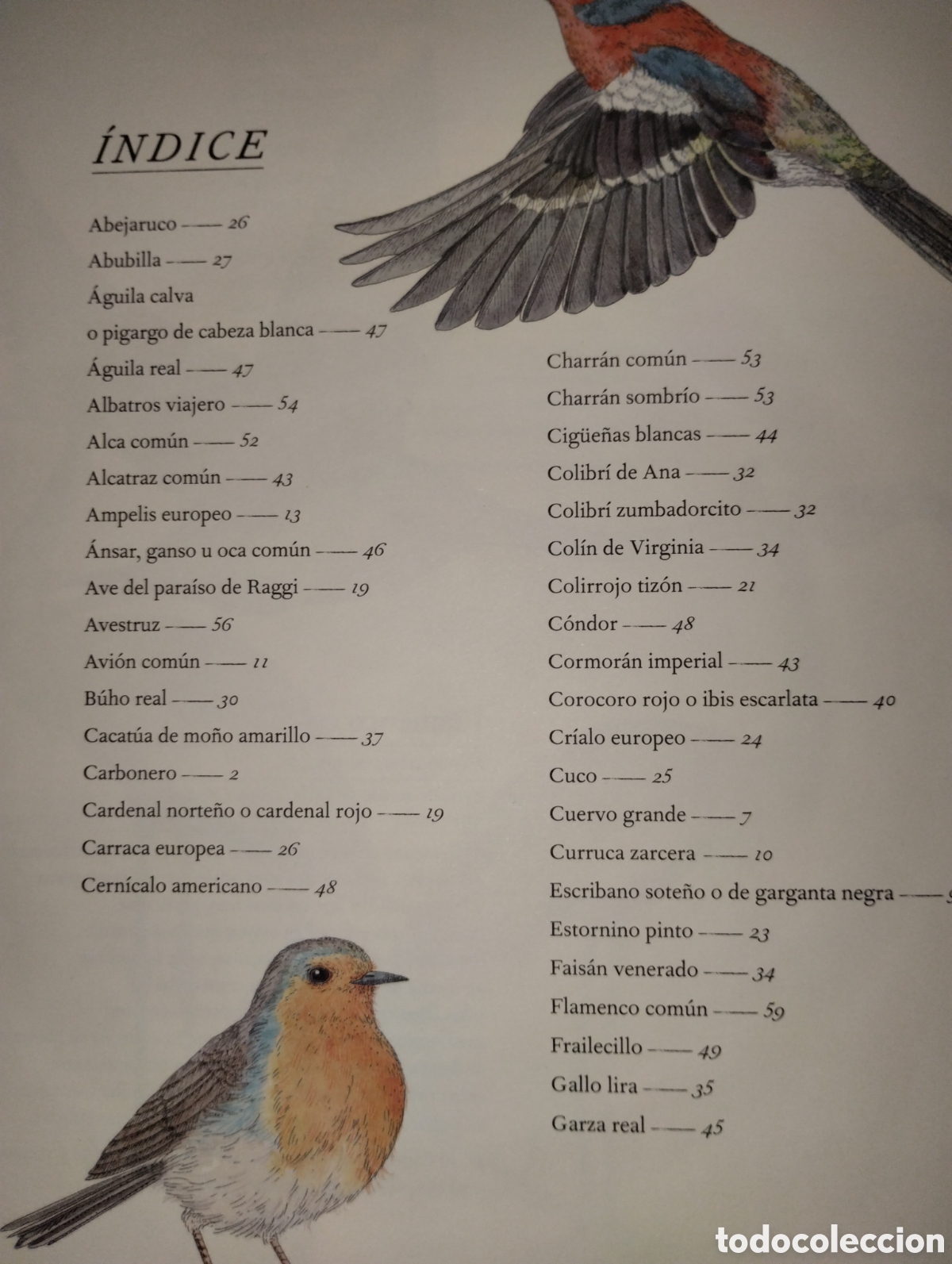 Libros de segunda mano: INVENTARIO DE AVES ILUSTRADO - Foto 3