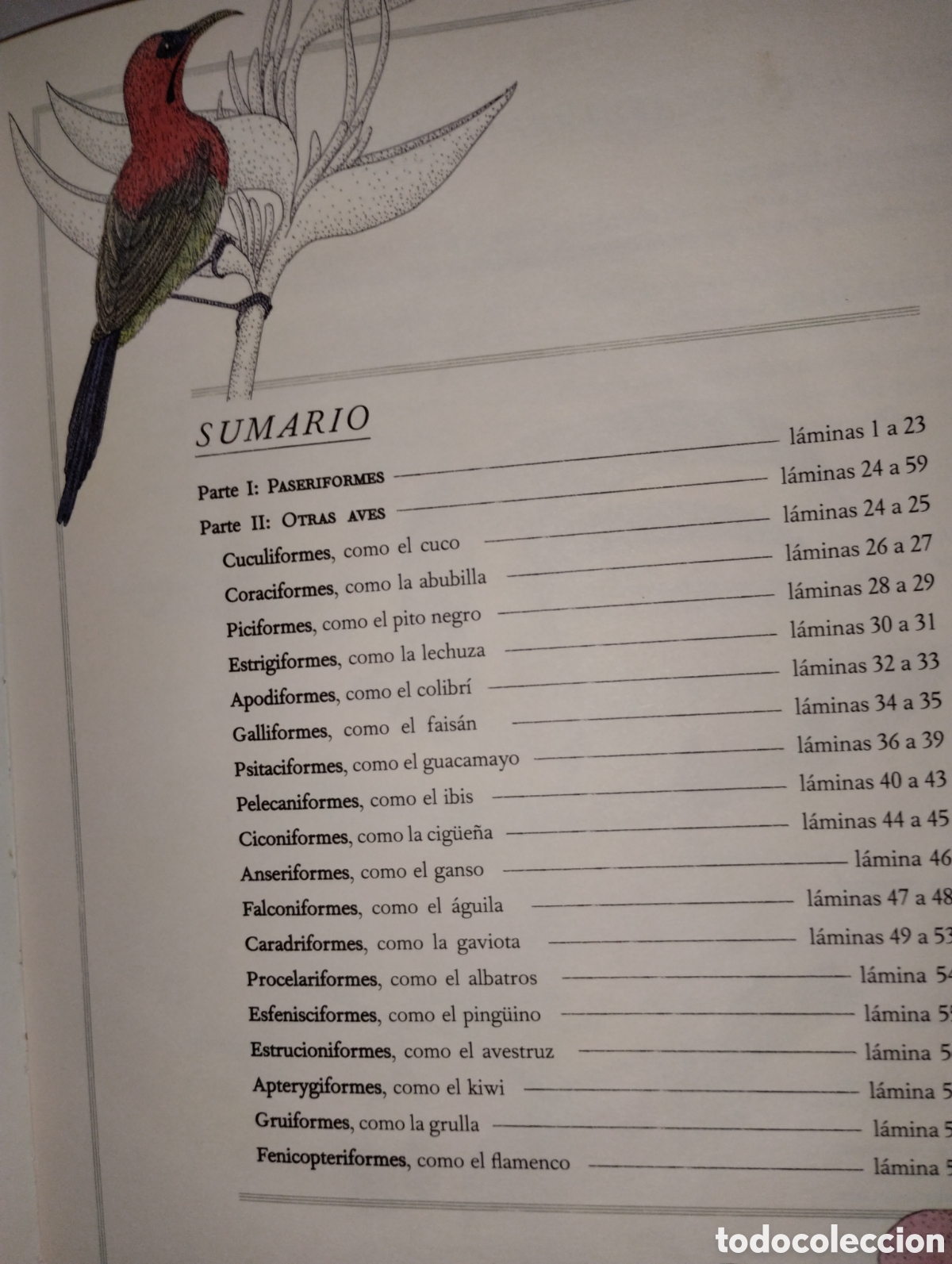 Libros de segunda mano: INVENTARIO DE AVES ILUSTRADO - Foto 8