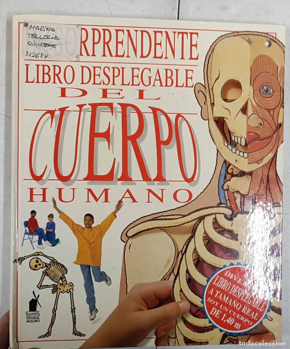 Libros de segunda mano: Tebeo Libro el cuerpo desplegable - Foto 1