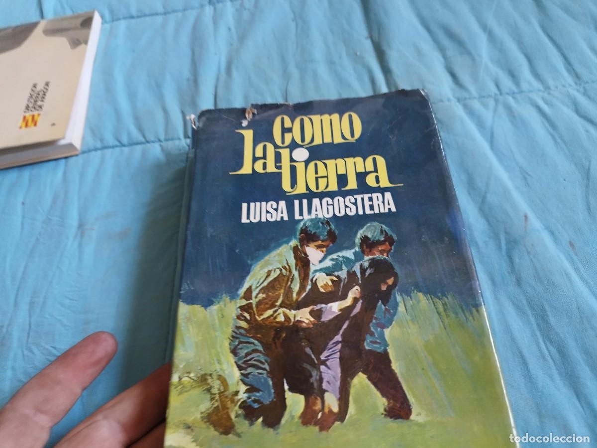 Libros de segunda mano: COMO LA TIERRA / LUISA LLAGOSTERA / EVA 204 / PLANETA - Foto 1