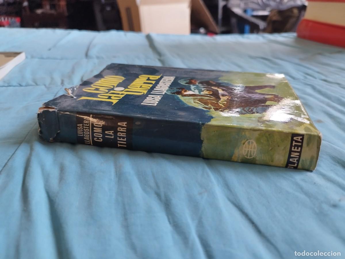 Libros de segunda mano: COMO LA TIERRA / LUISA LLAGOSTERA / EVA 204 / PLANETA - Foto 2