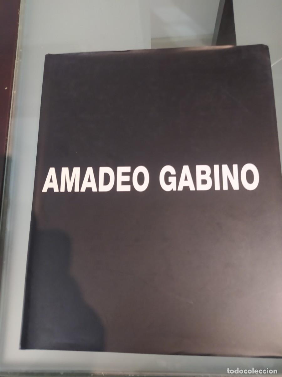Libros de segunda mano: LIBRO AMADEO GABINO, como nuevo - Foto 1