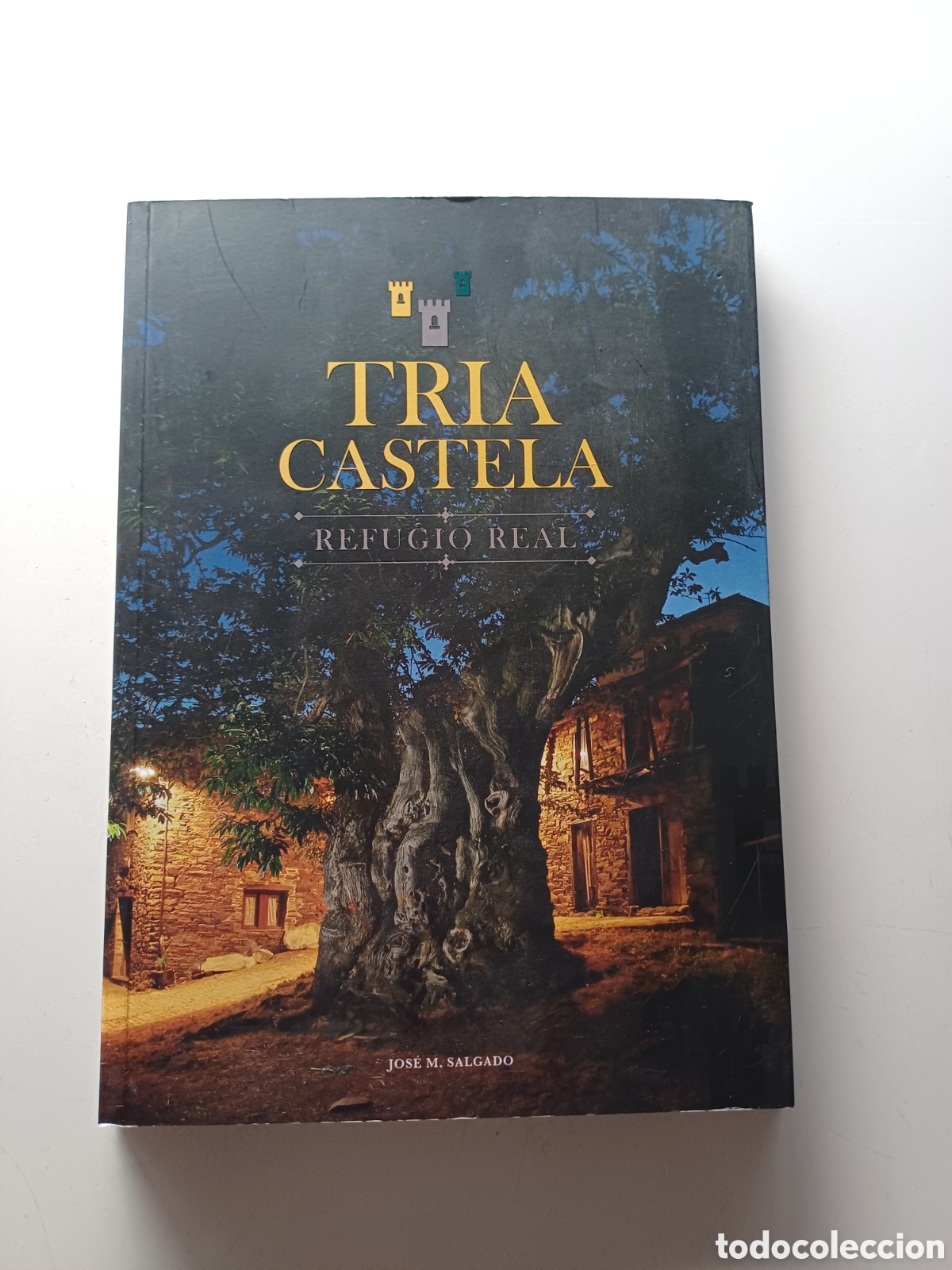 Libros de segunda mano: Triacastela refugio real Jos&eacute; M. Salgado 2020 - Foto 1