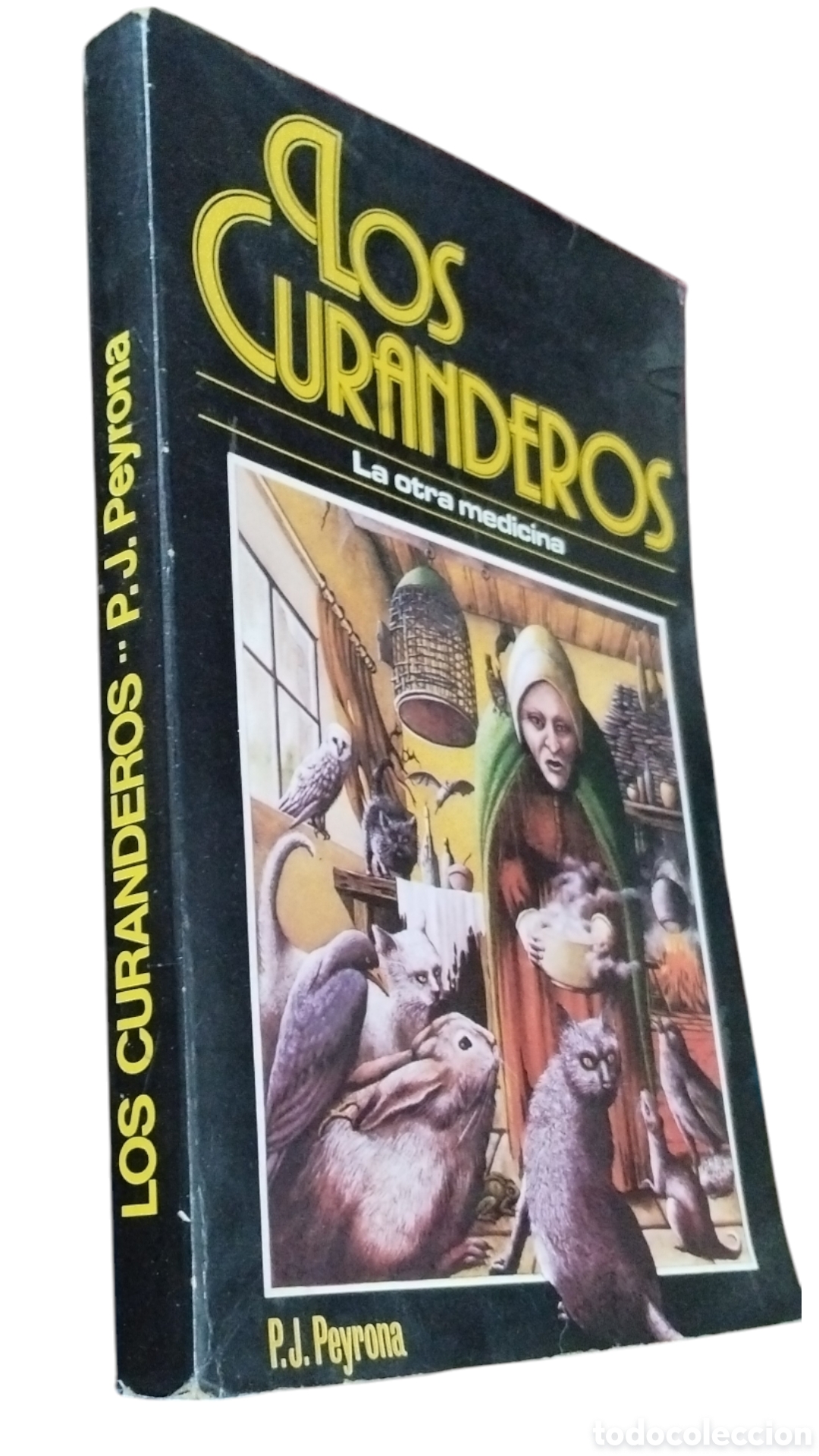 Libros de segunda mano: LOS CURANDEROS. PEYRONA, P.J. 1982 - Foto 2