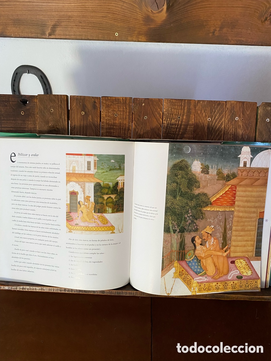 Libros de segunda mano: Kama Sutra. Dra Alka Pande - Foto 7