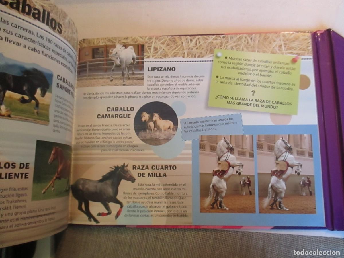 Libros de segunda mano: Caballos y ponis ( Con gafas 3D incorporadas ) W32410 - Foto 2