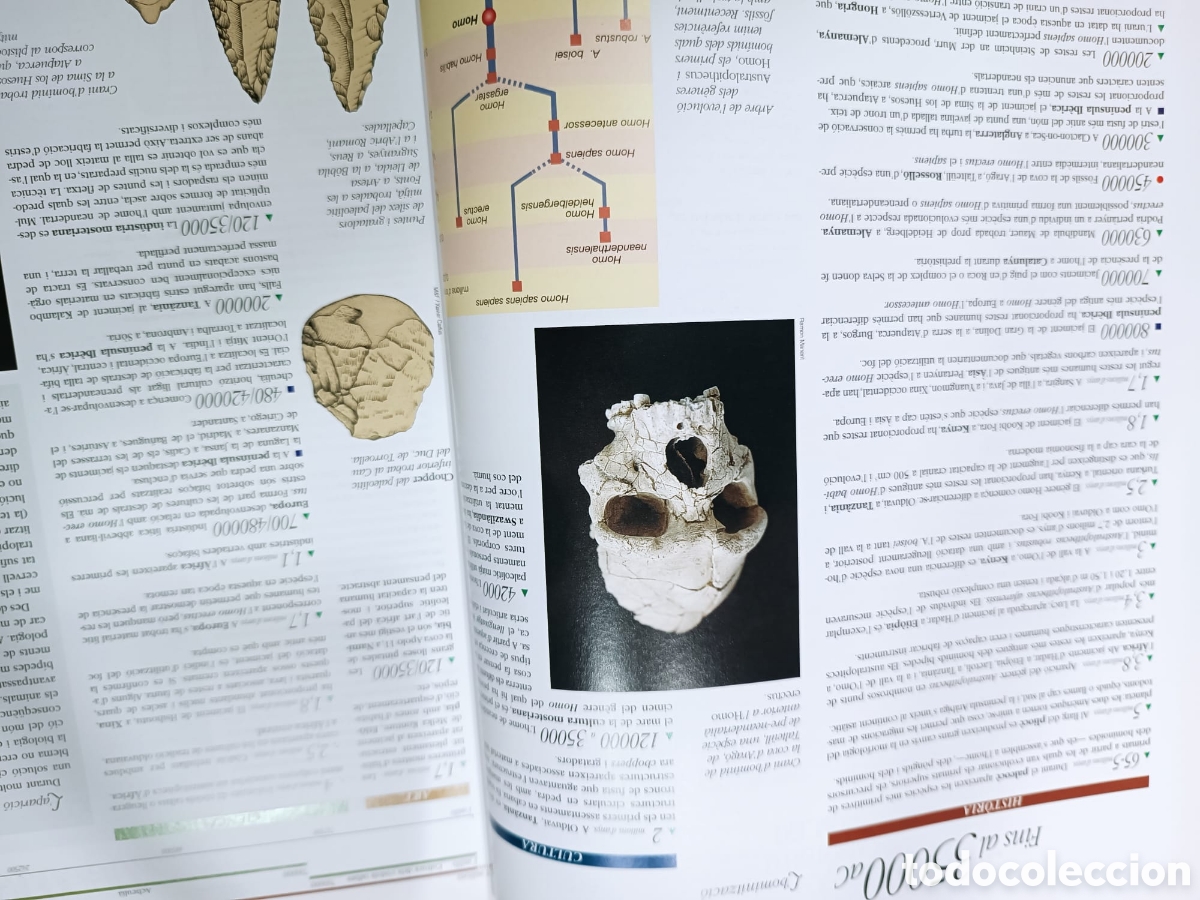 Libros de segunda mano: Cronolog&iacute;a dHist&ograve;ria del m&oacute;n - Foto 6