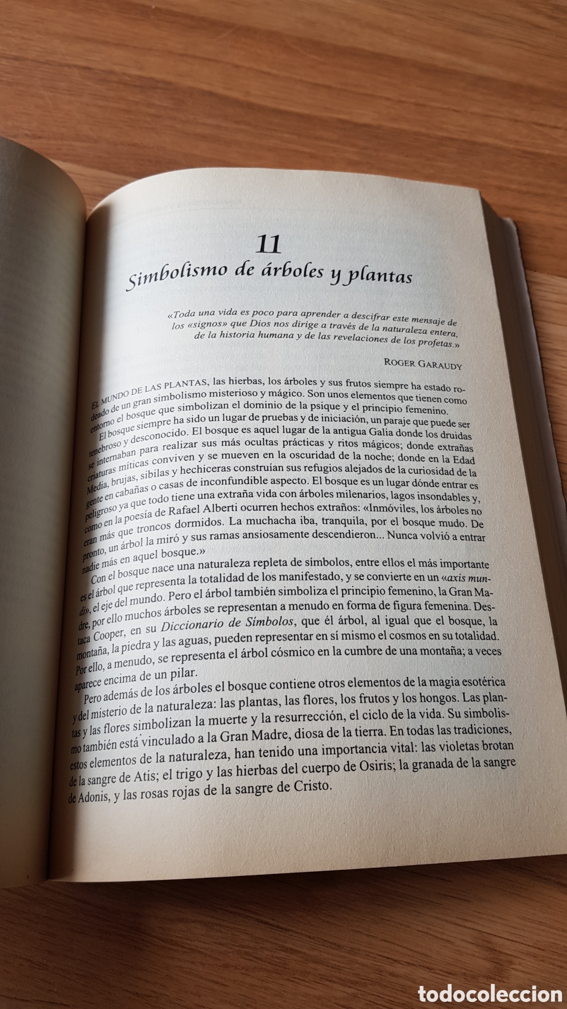Libros de segunda mano: Enciclopedia de los simbolos esot&eacute;ricos - Foto 3