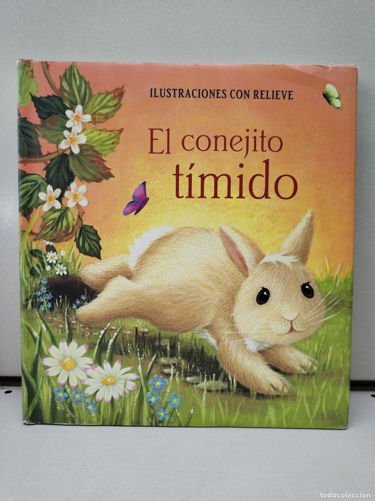 Libros de segunda mano: Es El Conejito Timido - Nick Ellsworth - Foto 1