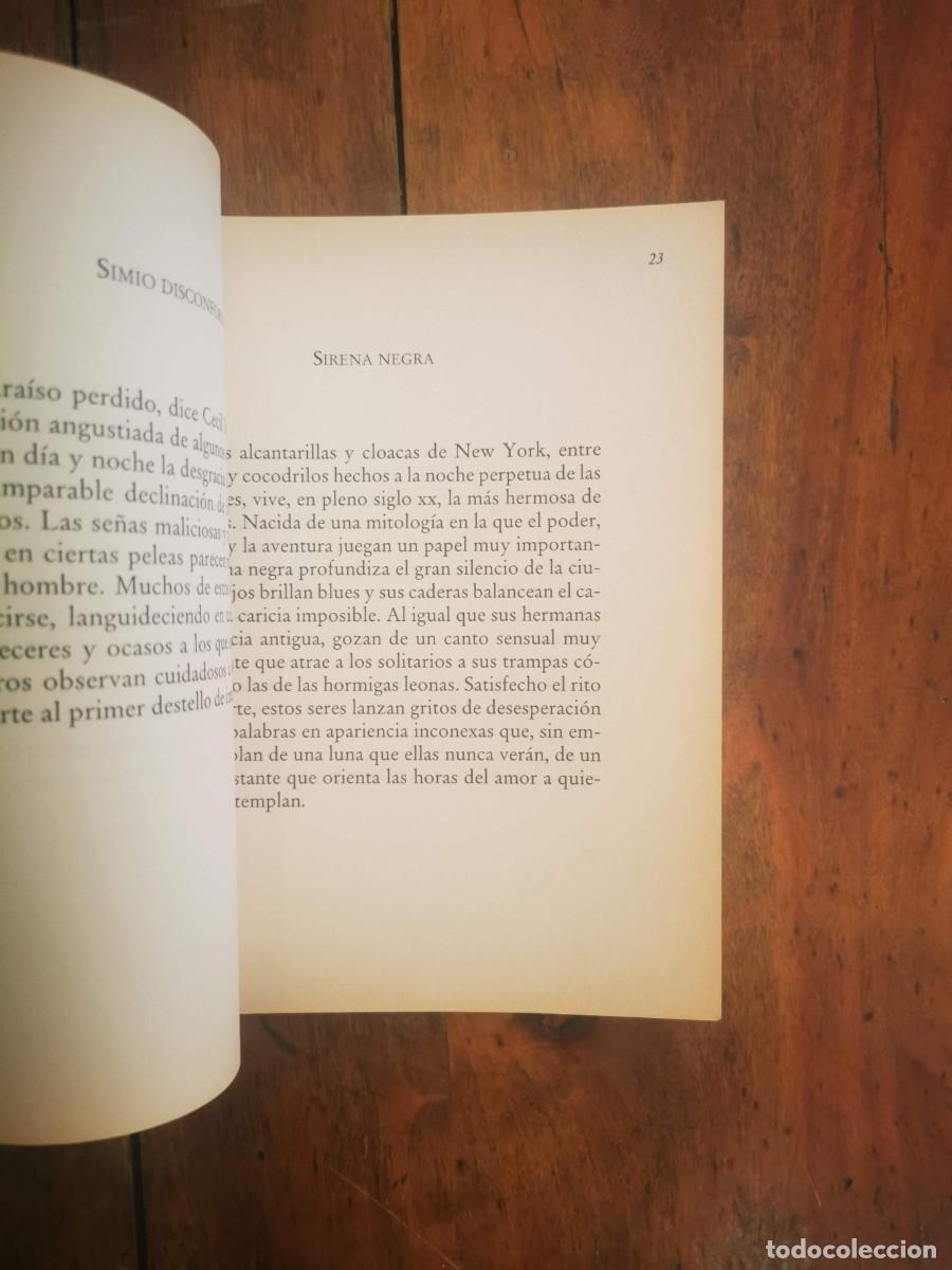 Libros de segunda mano: P&Eacute;REZ ESTRADA, Rafael. El ladr&oacute;n de atardeceres - Foto 5
