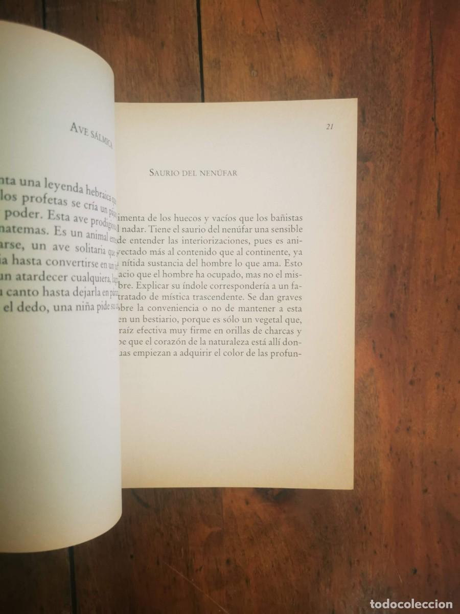 Libros de segunda mano: P&Eacute;REZ ESTRADA, Rafael. El ladr&oacute;n de atardeceres - Foto 6